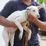 Irene, loses an ear and gains a family in ESMA
