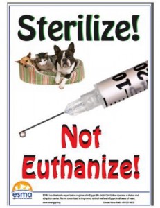 Sterilize