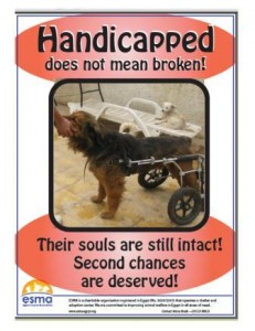 Handicapped